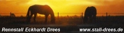 Rennstall Drees