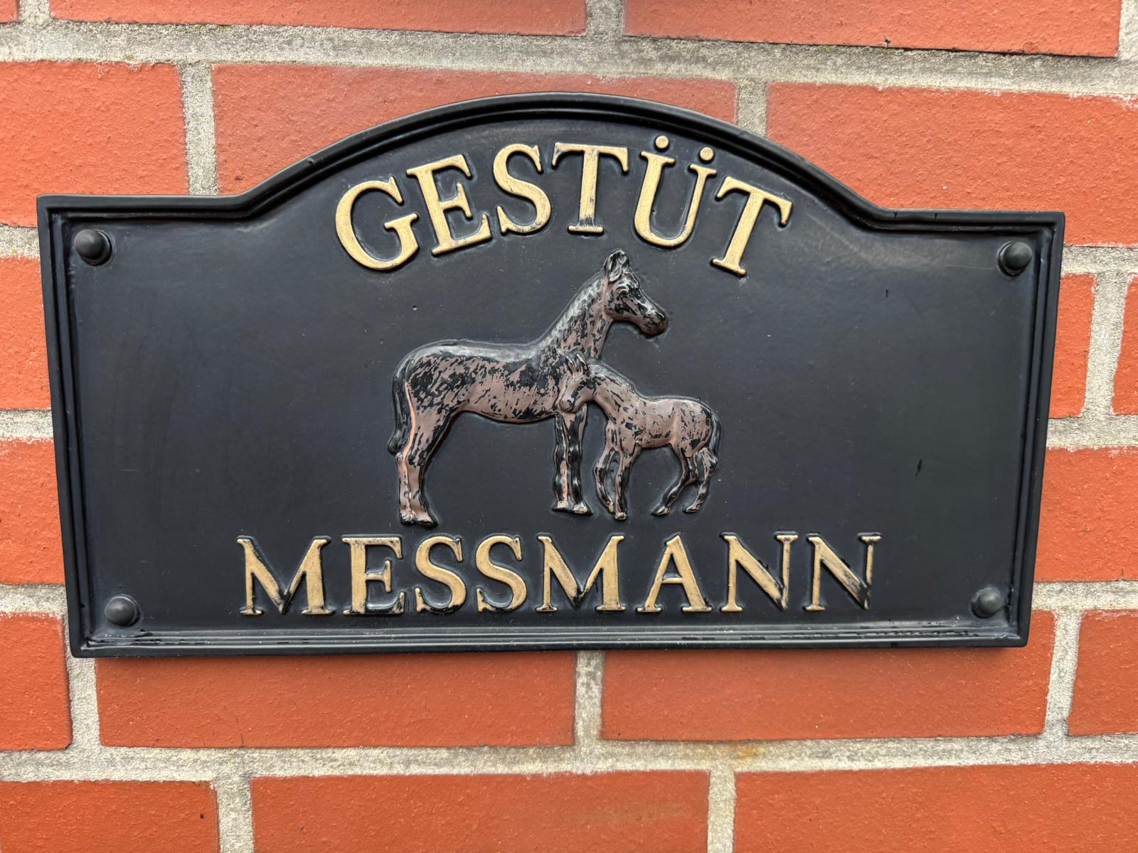 Gestuet Messmann