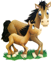 pferd rechts1